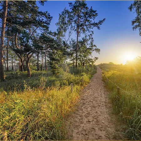 公寓 Holtz Holtz 2 *