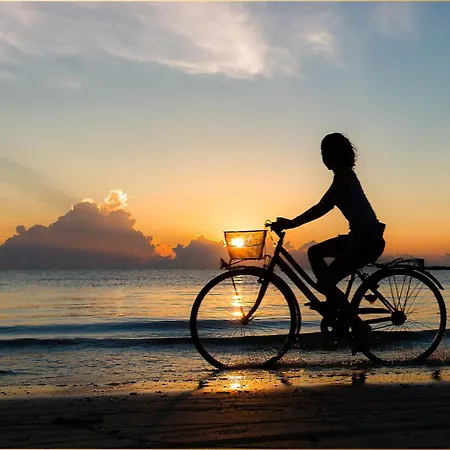 公寓 Holtz Holtz 2 奥斯特西巴德钦诺维茨